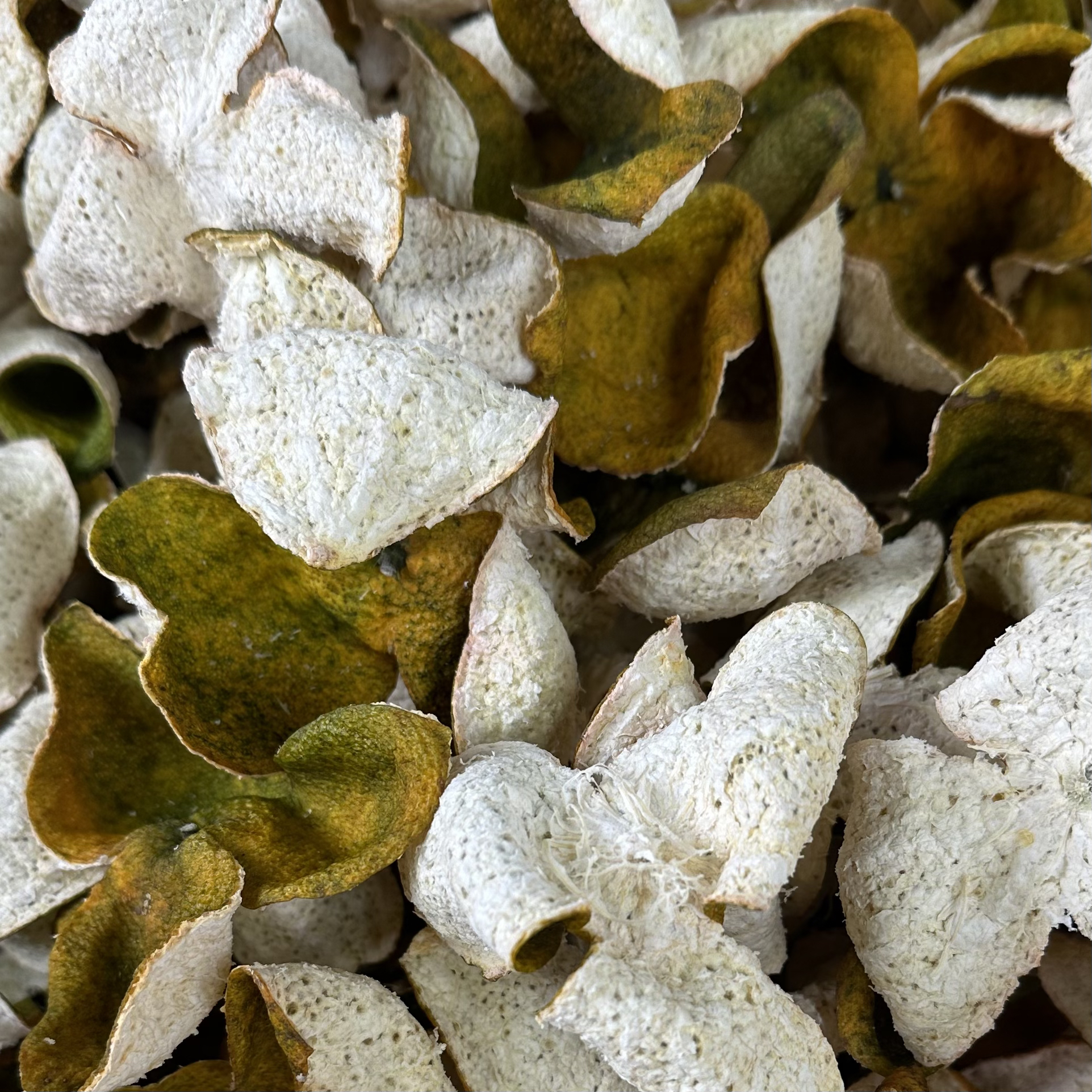 【梁总推荐/C1196】新会陈皮 2025年小冈17年老树二红皮