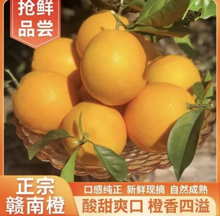 （内蒙古带货）【正宗赣南脐橙】产地直发酸甜爽口现摘现发