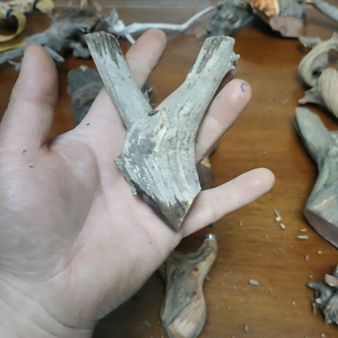 1***0大果紫檀（缅甸花梨）