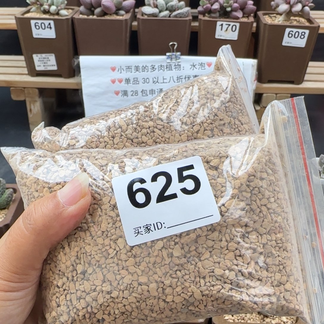 625铺面石多肉植物