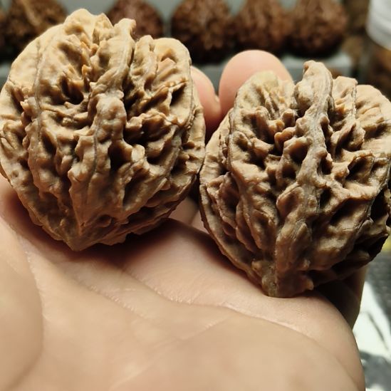 文玩核桃吊坠大楸核桃8号