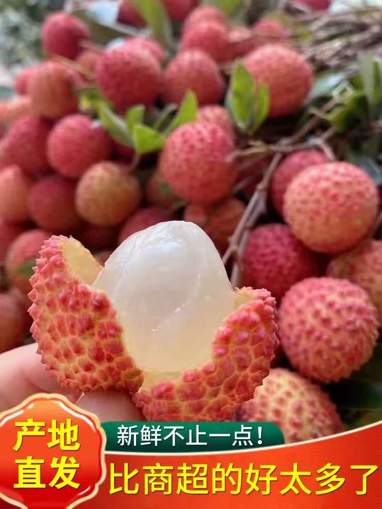 京东/顺丰/冷链高州荔枝当季水果孕妈妈水果现摘现发5斤包邮