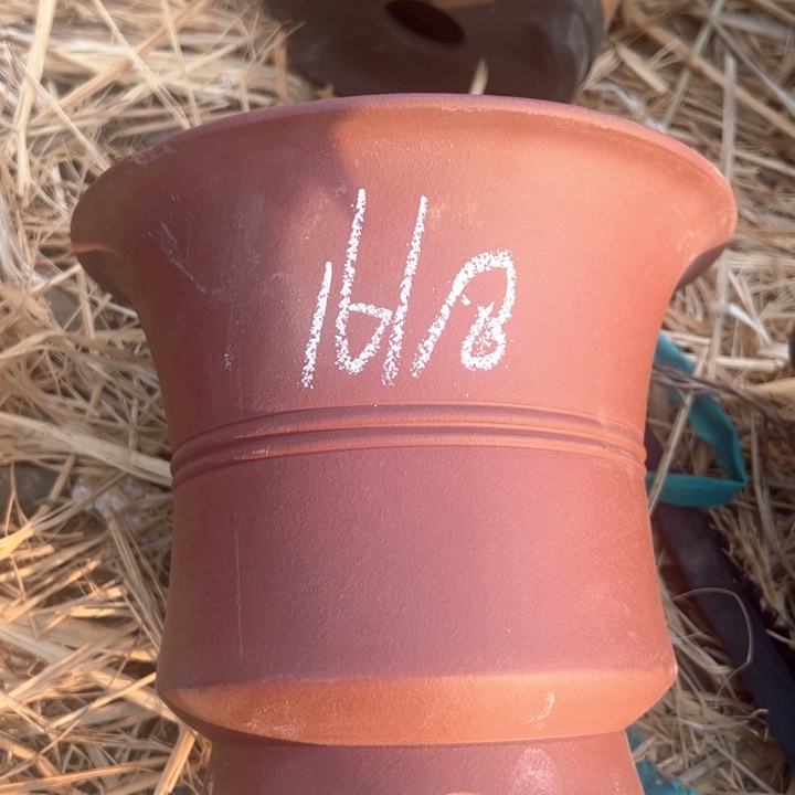 红陶紫砂碗盆口18