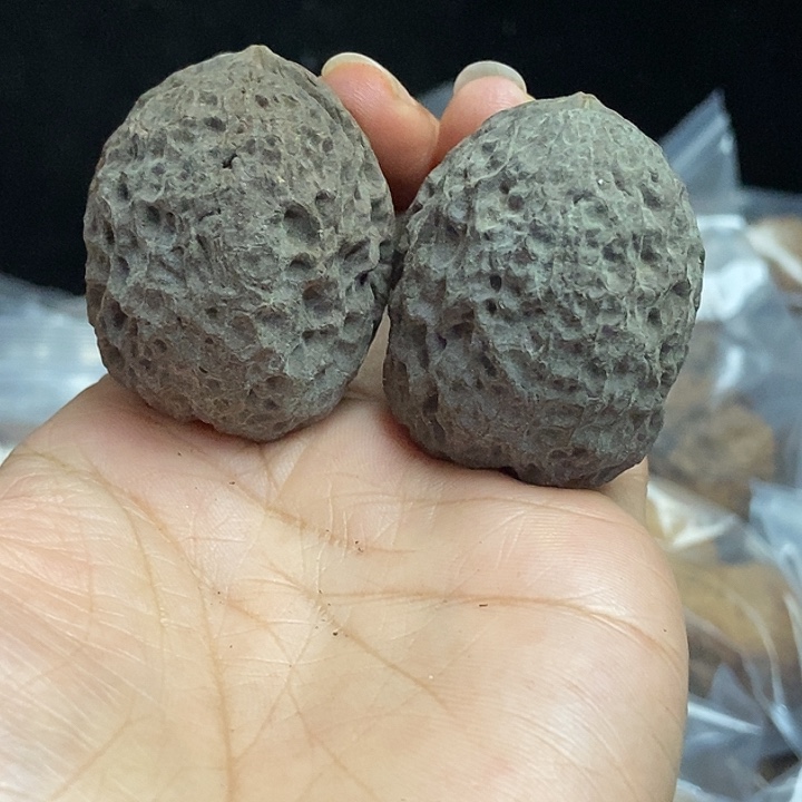 文玩核桃把件云南铁核桃基地69