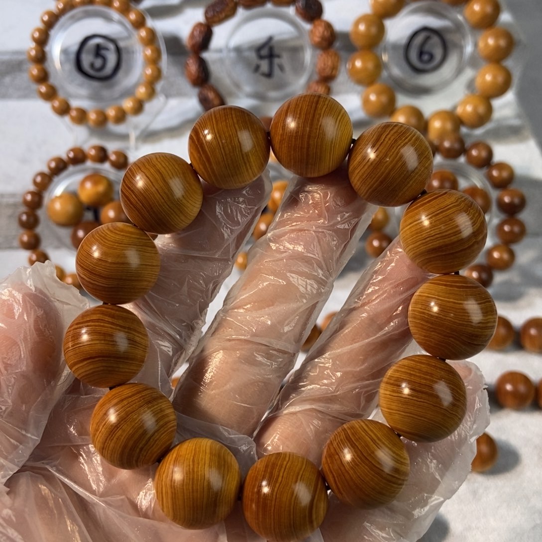 柏木（崖柏）放****?太行崖柏