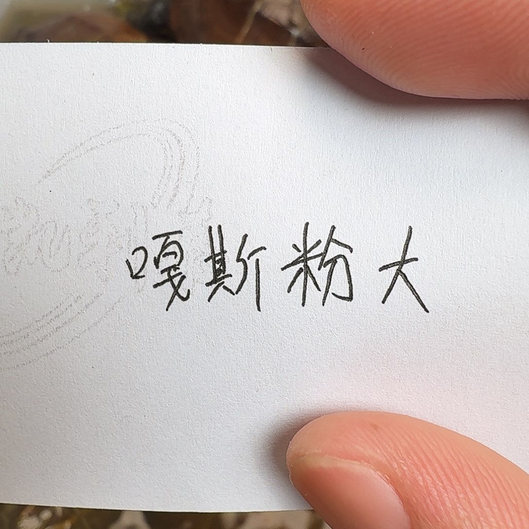 母绿毛龟666666666666666