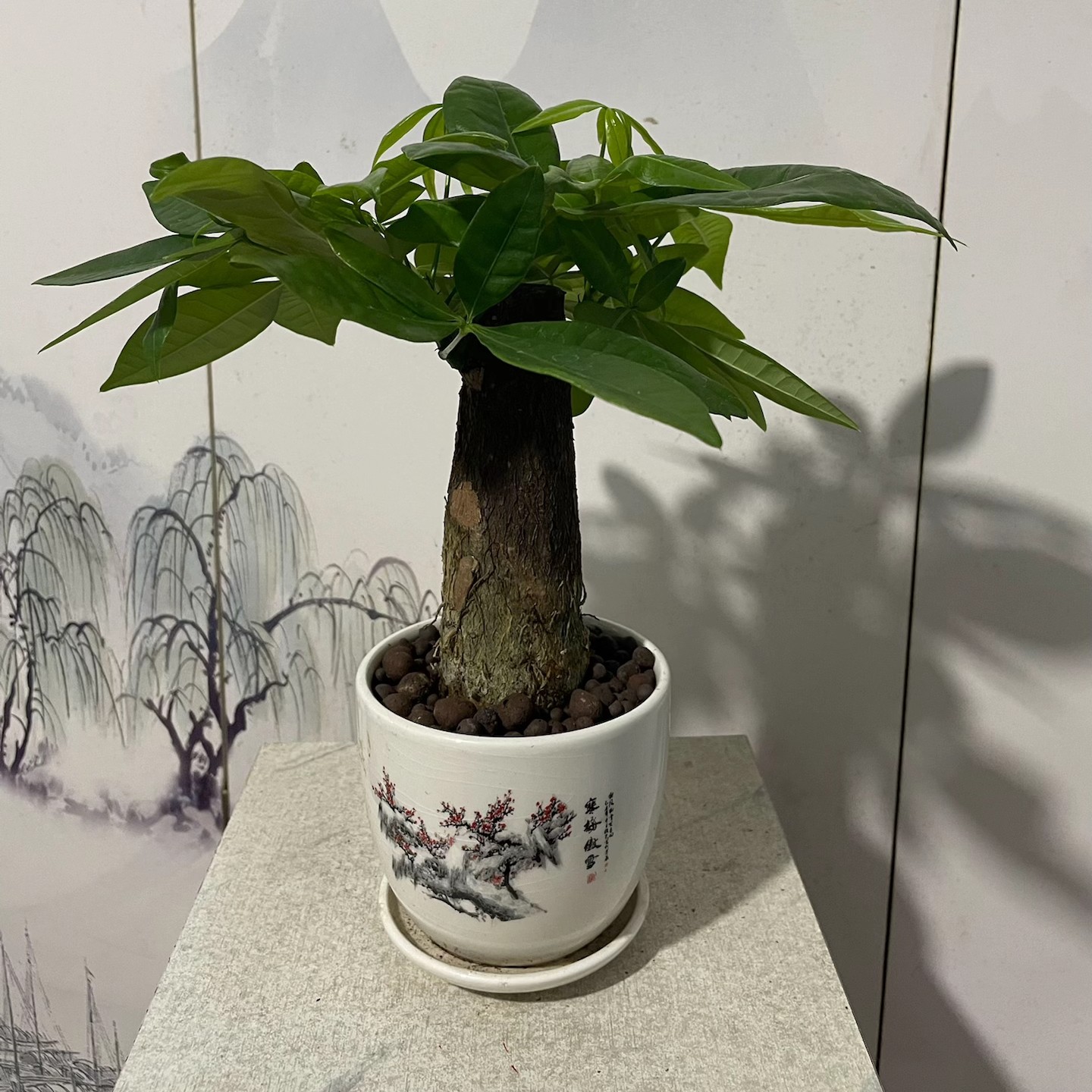 精品发财树客厅办公室内桌面绿植陶瓷盆单杆小招财树开业送礼盆景