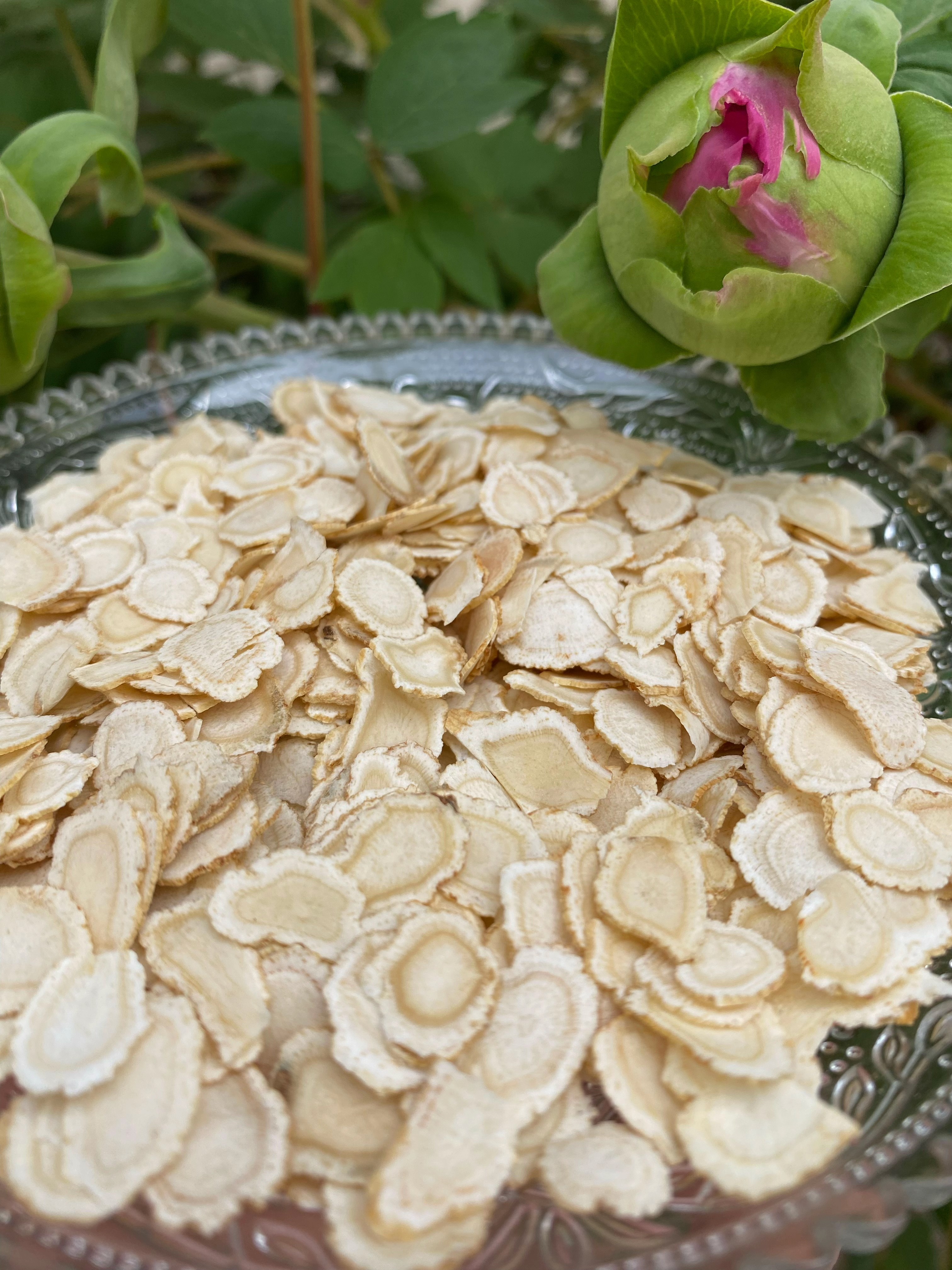 老周山货—秦岭西洋参片