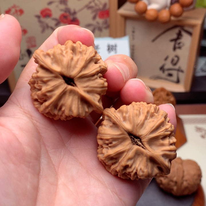 文玩核桃把件天地全品  1号