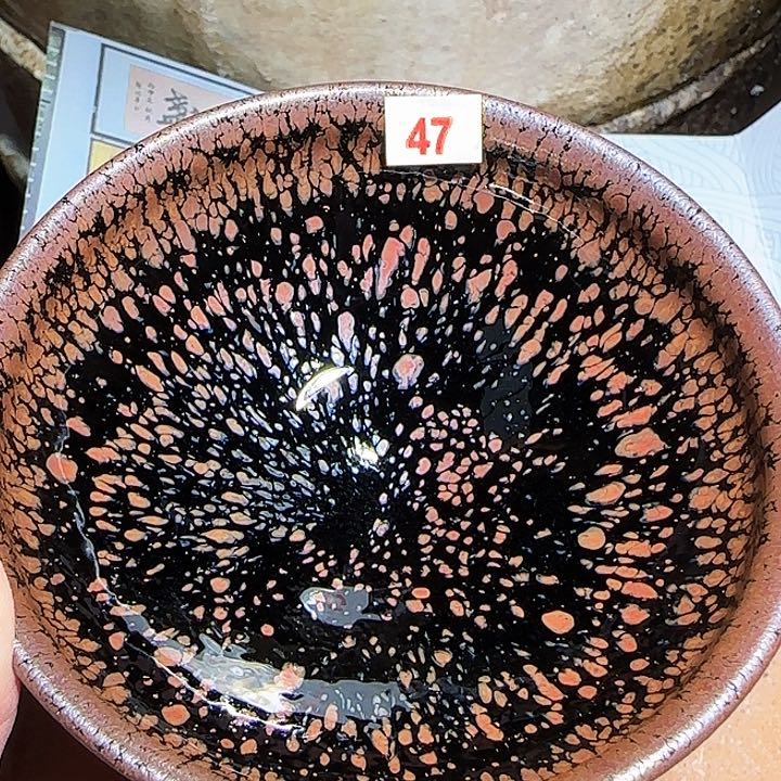 茶盏你是个很爱学习但没有上进