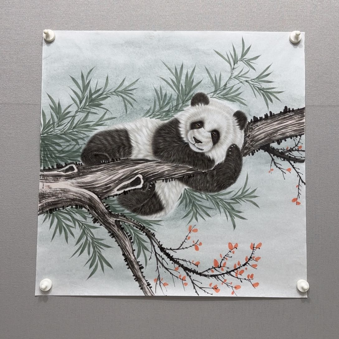 国画工笔大熊猫斗方四尺贾敏