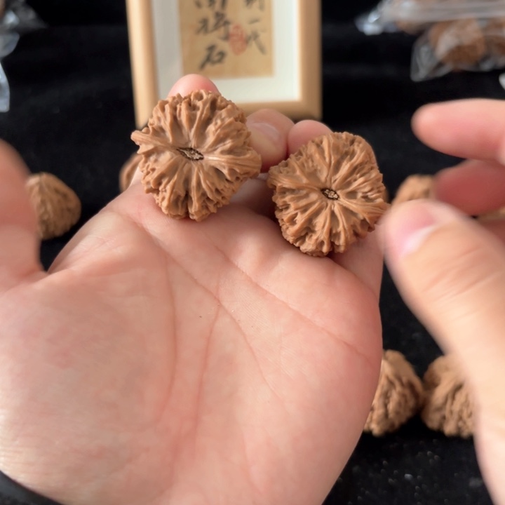 文玩核桃吊坠果***果南将