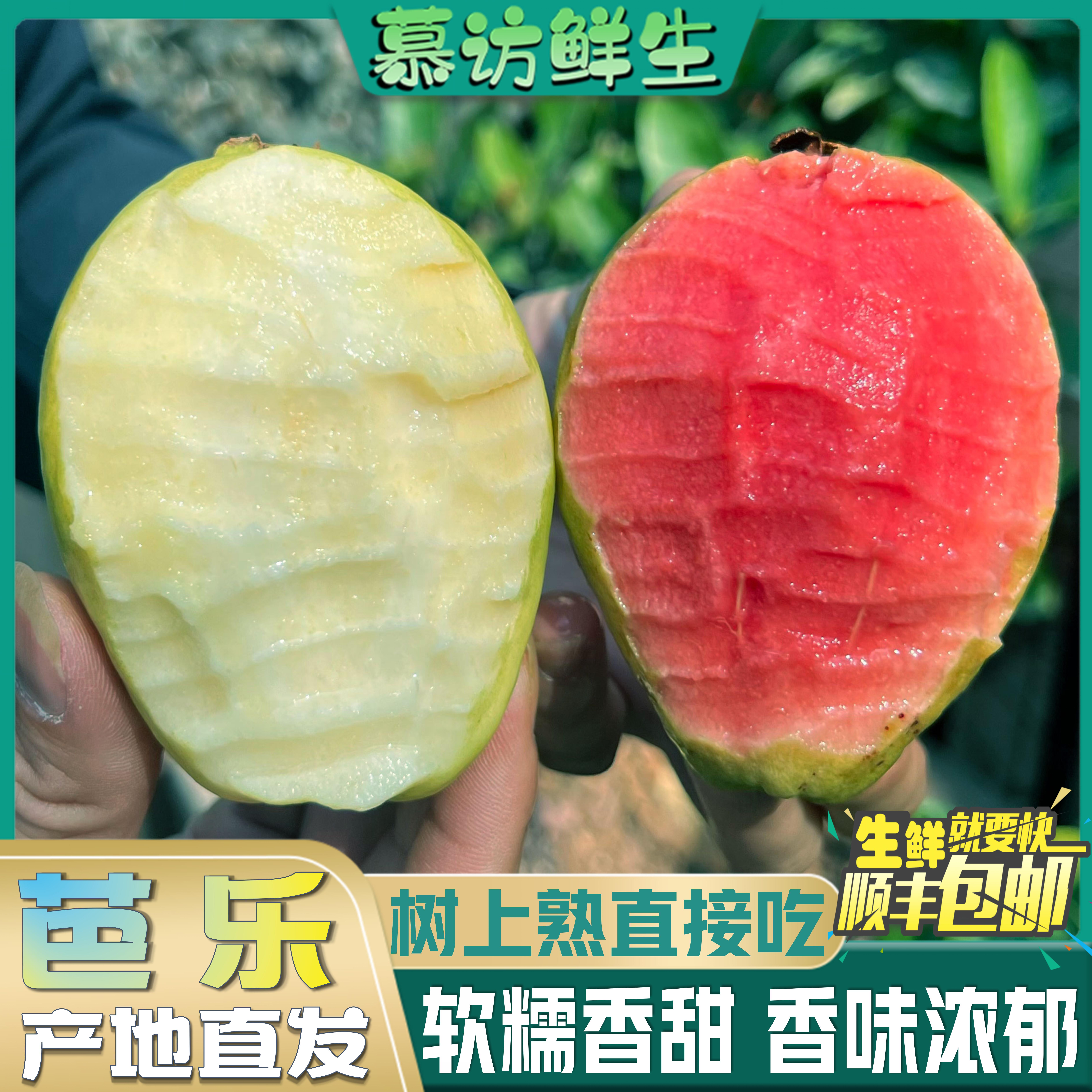 【慕访鲜生】广西红心白心奶油芭乐软糯番石榴新鲜水果软心软芭乐