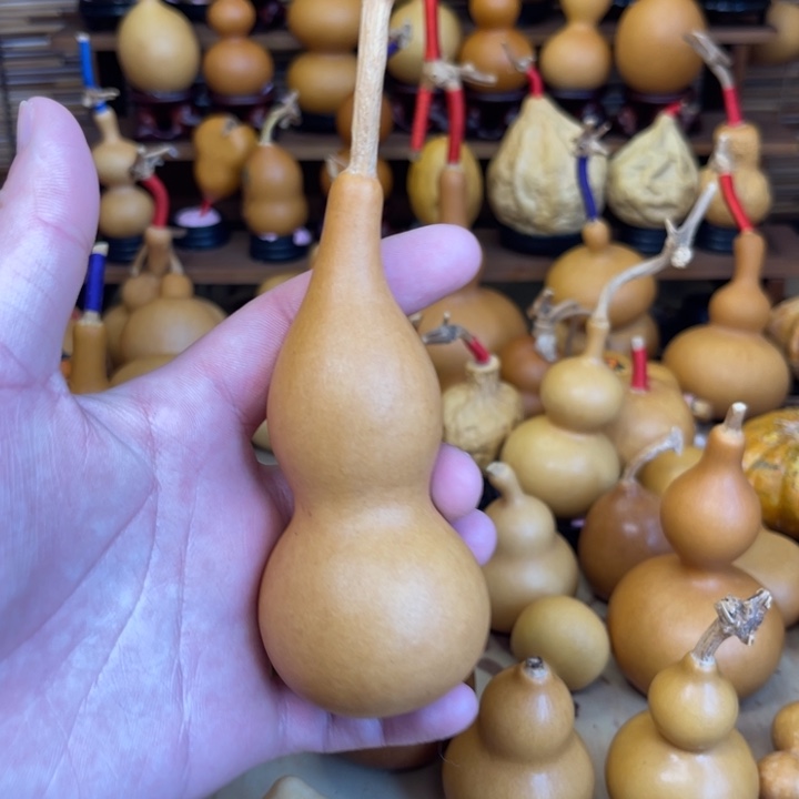 柳叶腰本捻厚皮响籽5