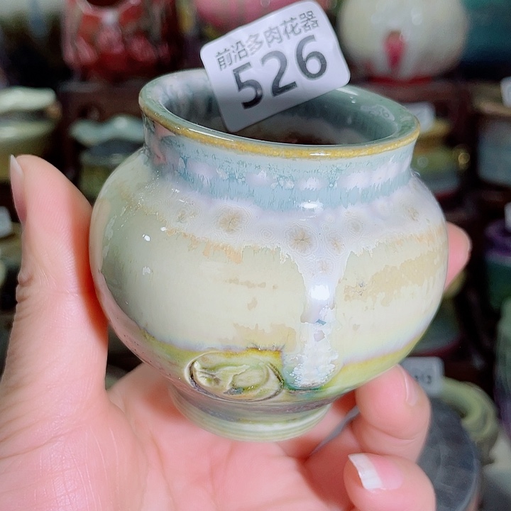 狼盆内口径5高度7