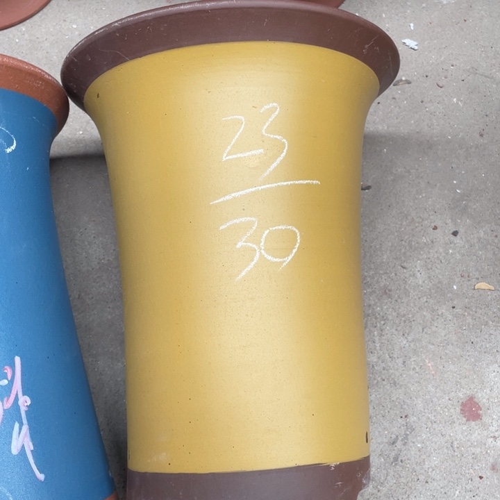 紫砂紫砂紫砂紫砂紫砂