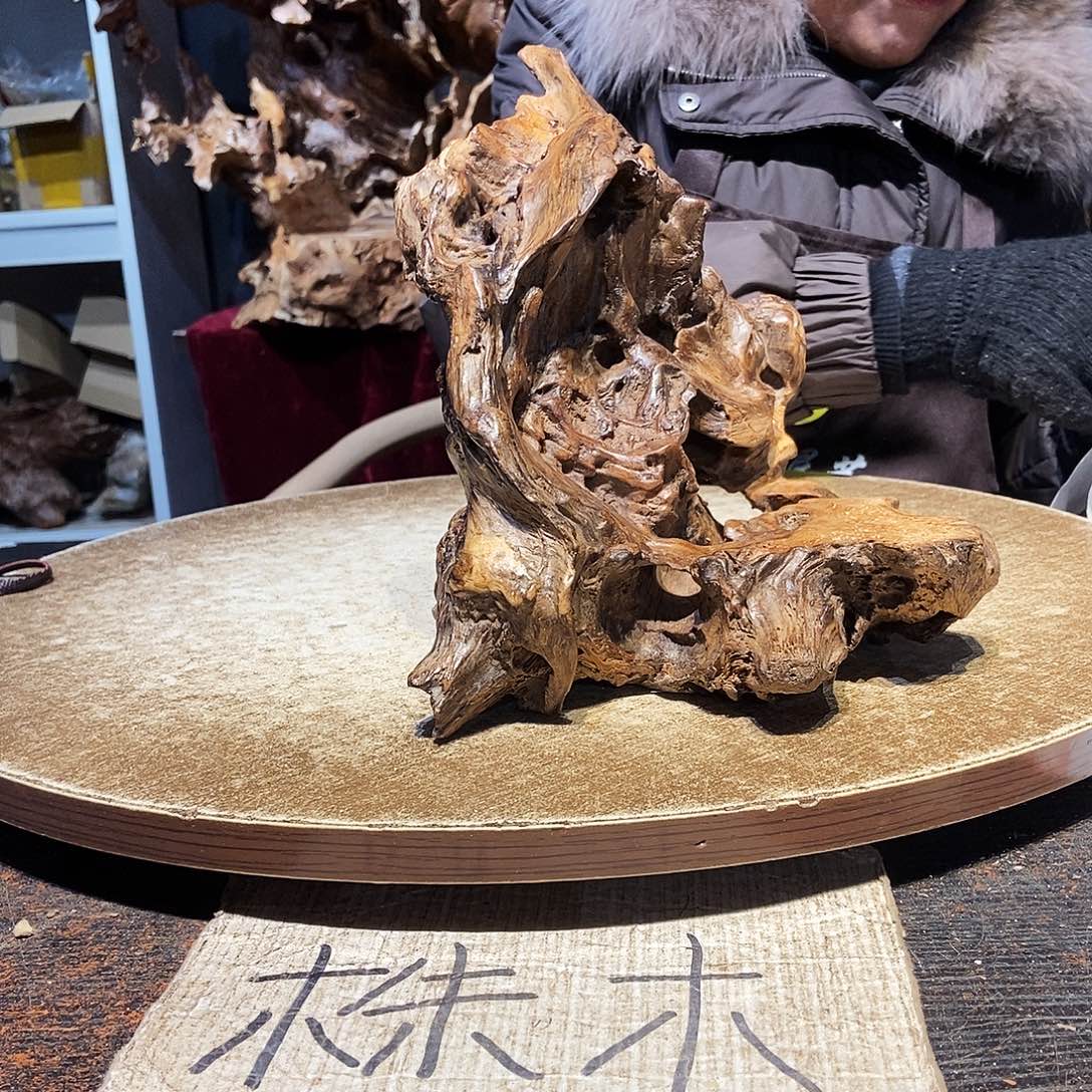 远***方074。株木随行根艺