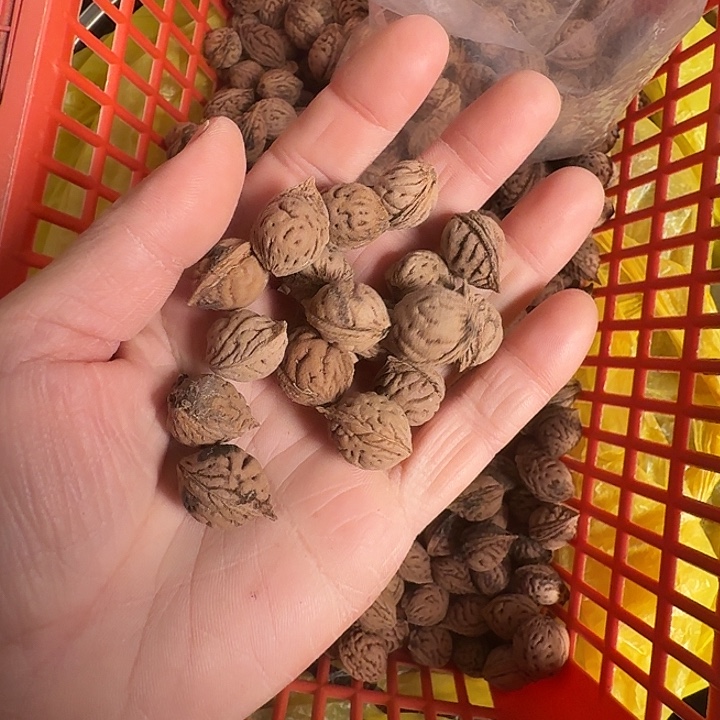精选碧桃核圆润款100颗