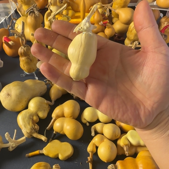 幸***狗绒面大哥经过哈哈姐姐斤斤计较哈