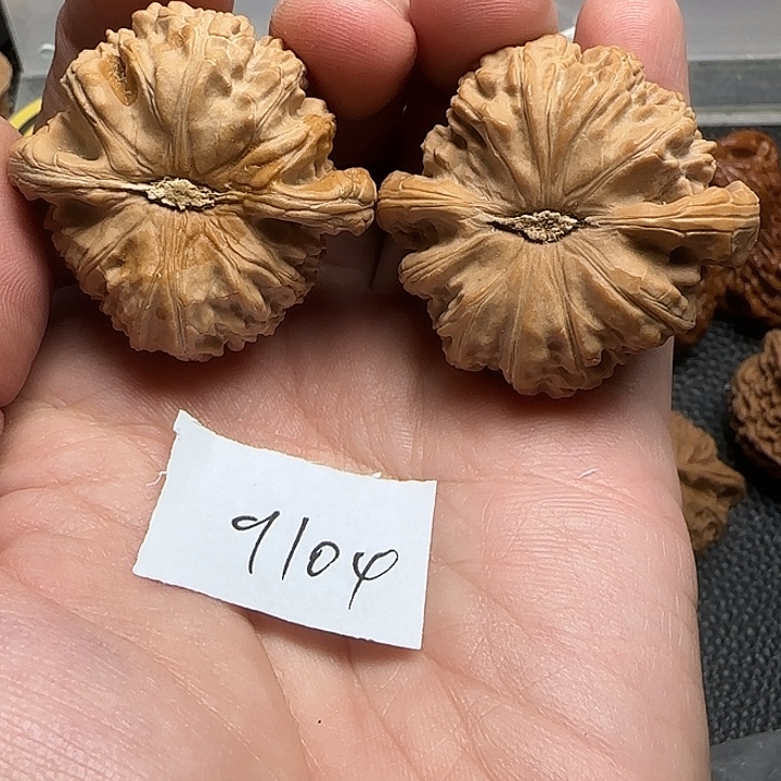 托***塔把件文玩核桃9104白狮子43尺