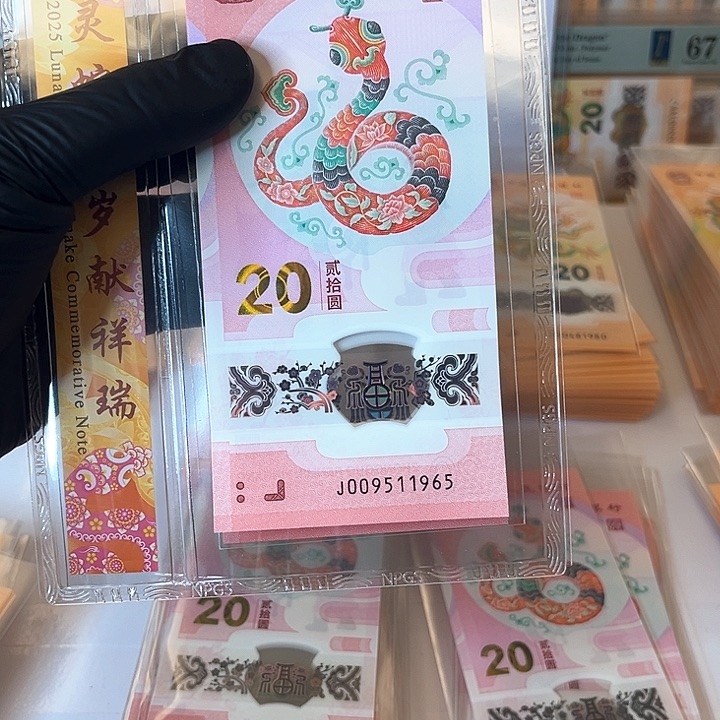 塑料不**境蛇钞009511965