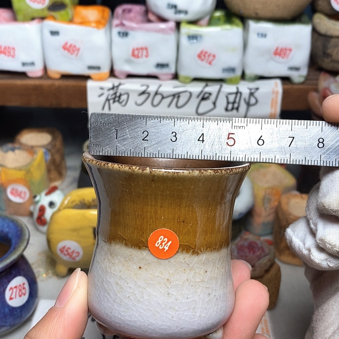 红陶拍5送一个小