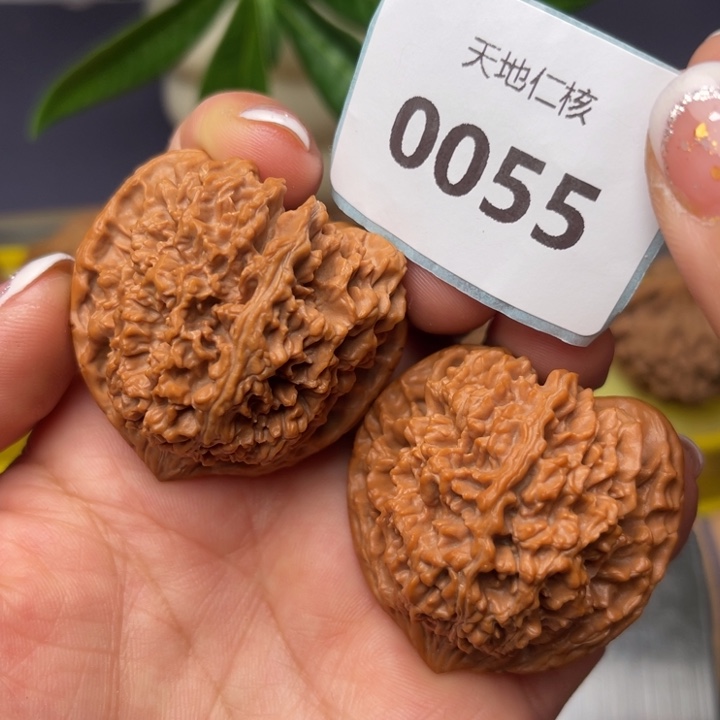 文玩核桃把件42满天星55