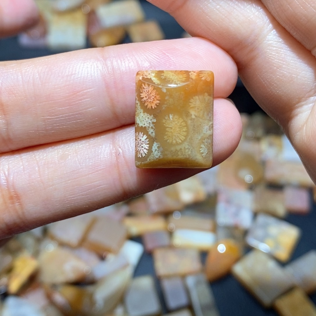 【闪购商品】硅化玉颈饰未镶嵌