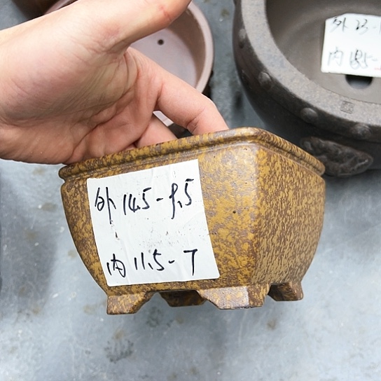 红陶紫砂花盆漂亮