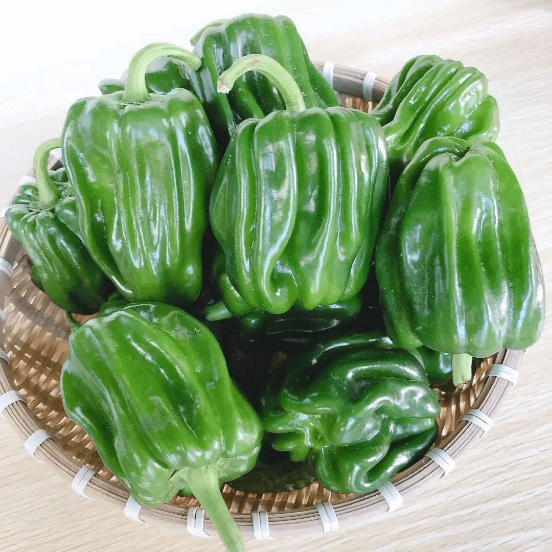 新鲜麻椒青椒一份350g辣椒同城送