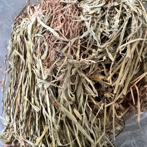 蛟哥优品 永嘉高山金丝玉麦