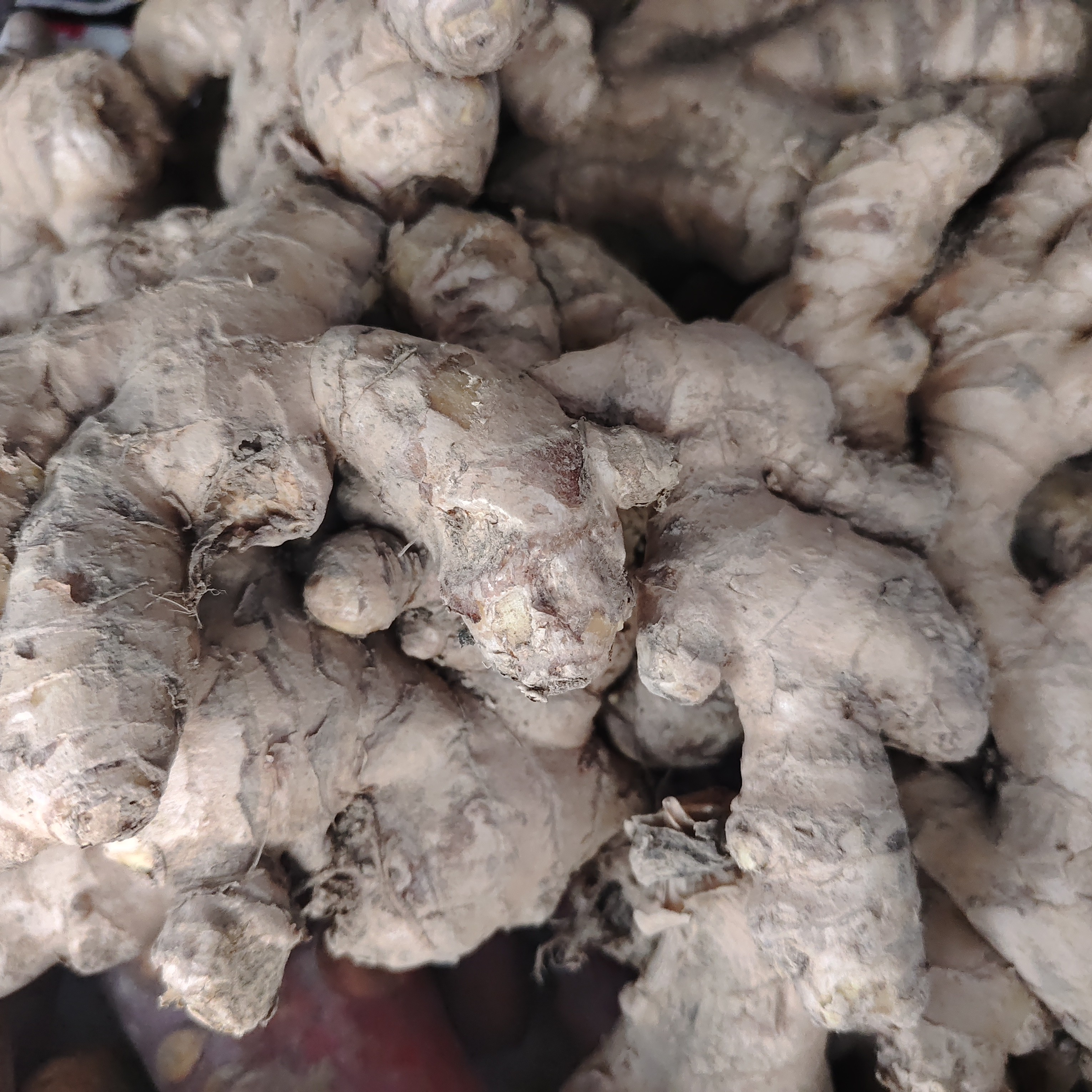 贵州本地新鲜小黄姜