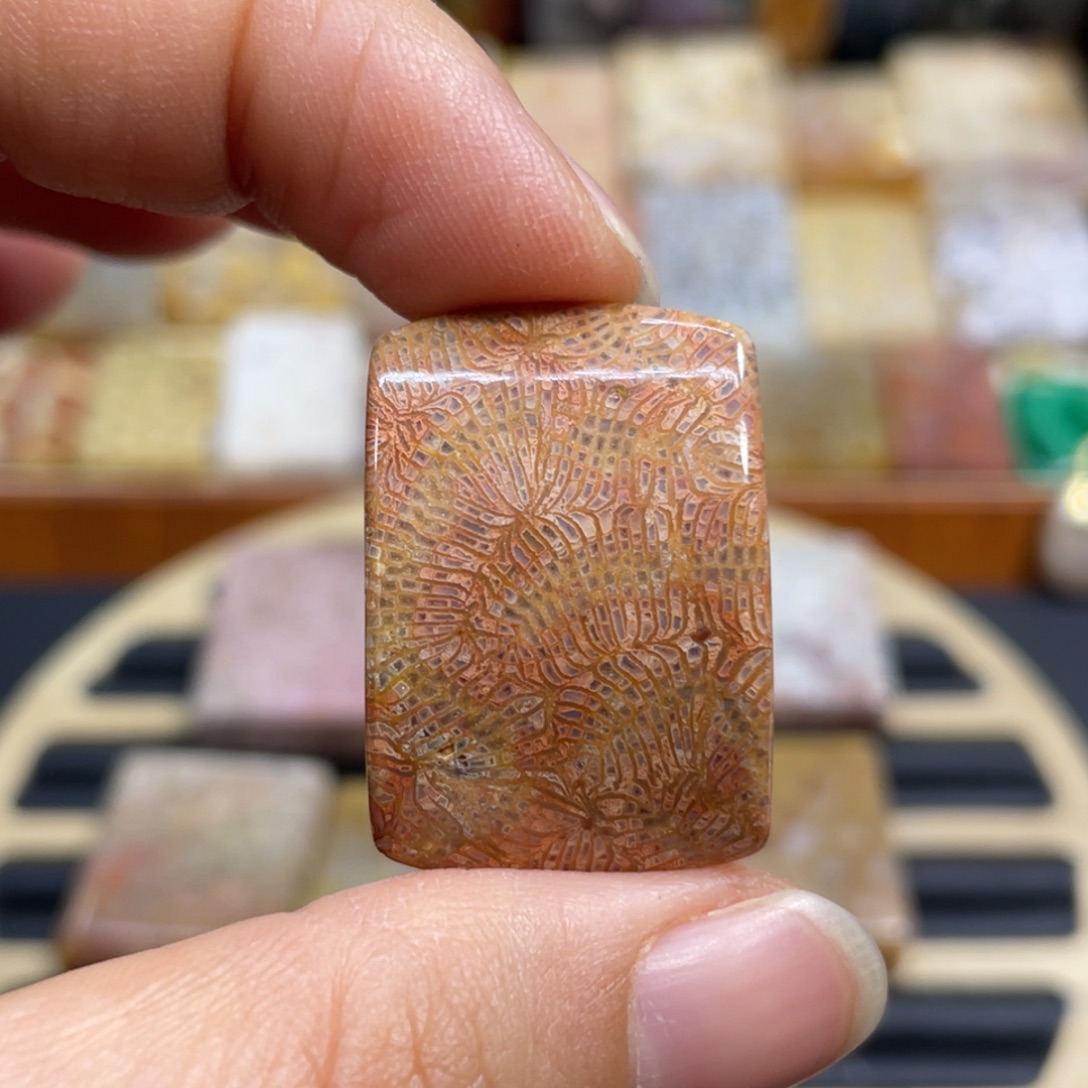 硅化玉未镶嵌颈饰k93