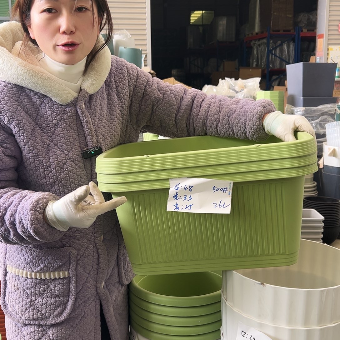 菜盆500#果绿3个无托