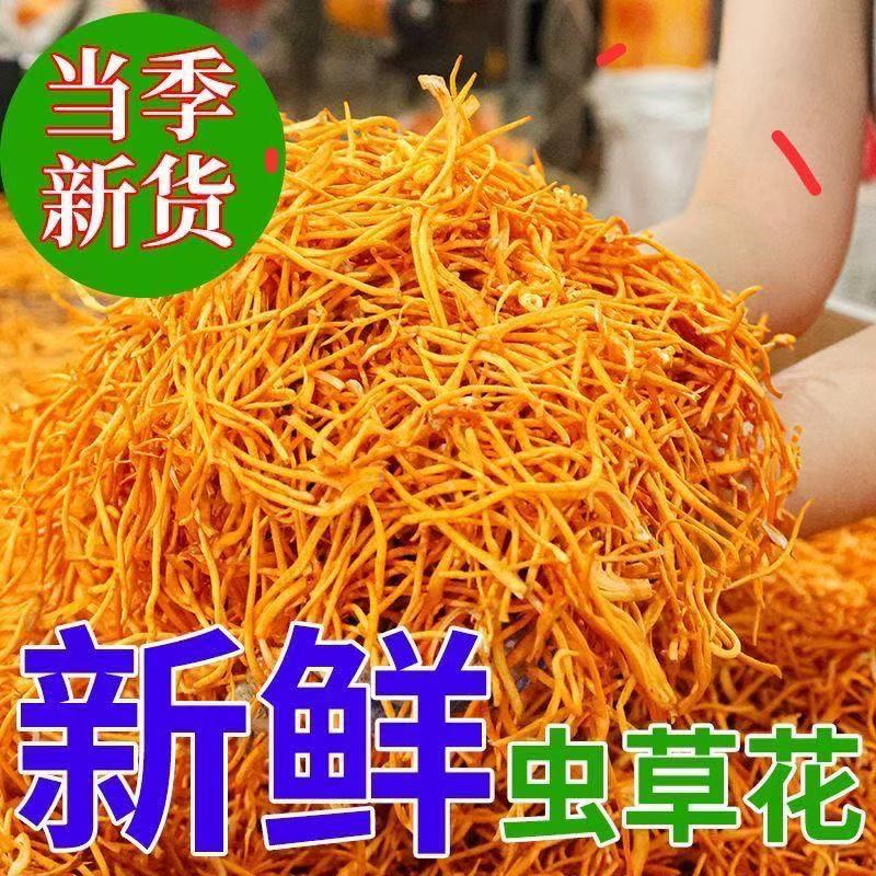 【一斤二斤三斤】东北虫草花鲜货深山无添加剂原产地孢子