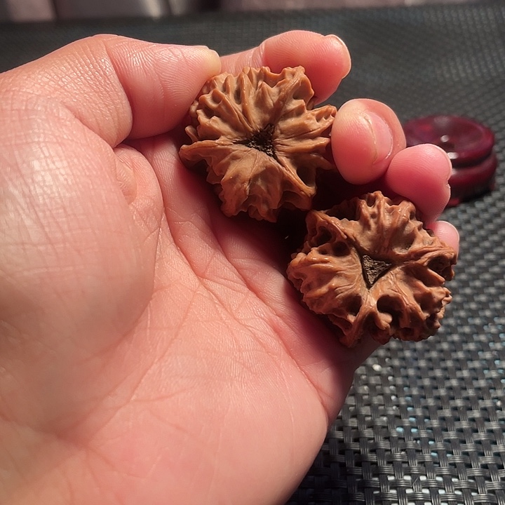 吊坠文玩核桃野生龙门涧三棱