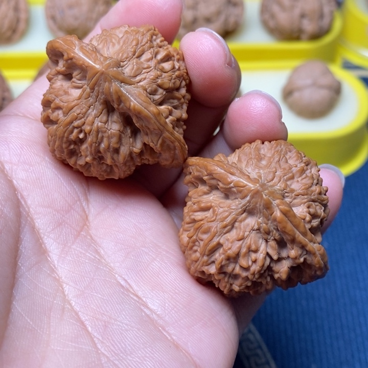 文玩核桃满天星40