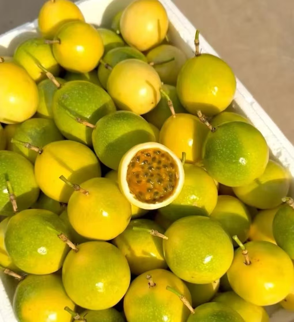 HH广西新鲜现摘正宗钦蜜9号黄金百香果当季水果整箱包邮