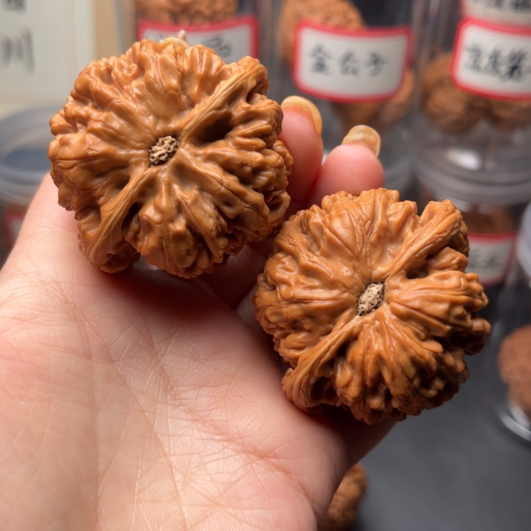 文玩核桃把件东****垫48.5大粗筋