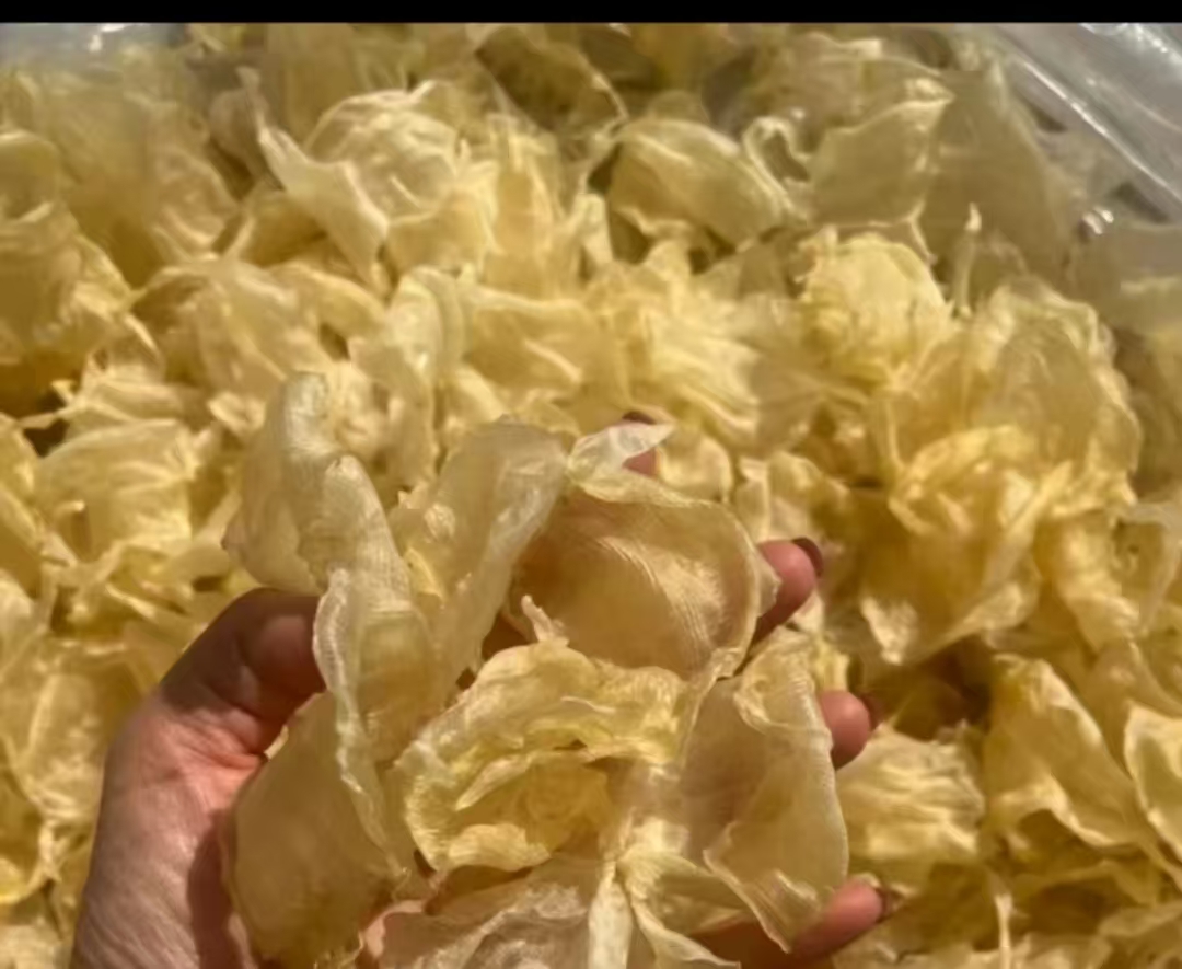 白花胶深海野生精选