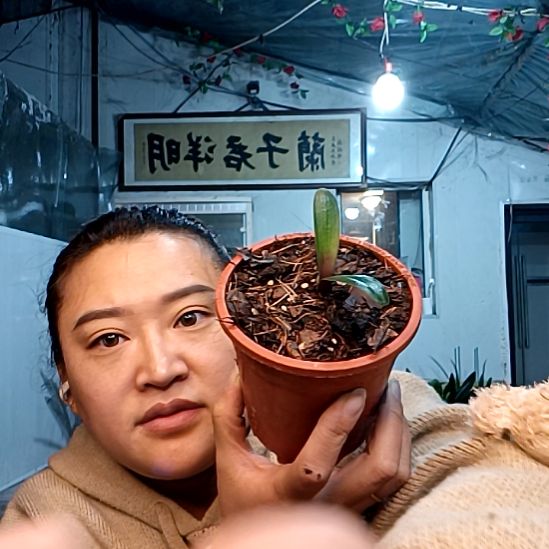 联***料联发毛佛没返一颗69