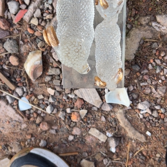 芳***。杂色豆（科檀/科特迪瓦檀木）