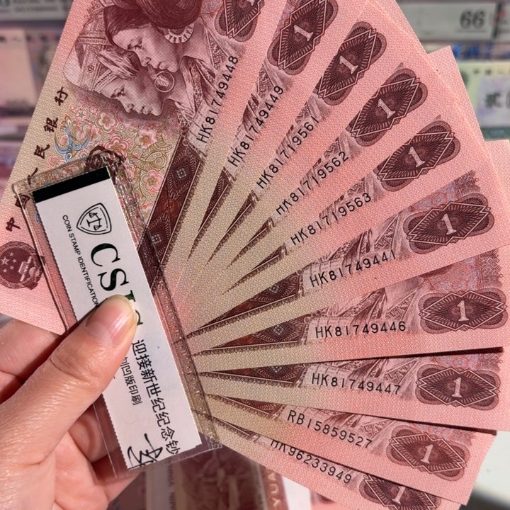 96100000000000000000019