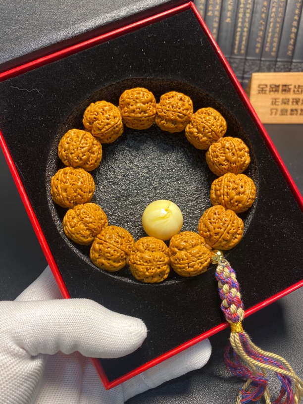 新品安娜爆肉双龙 20号