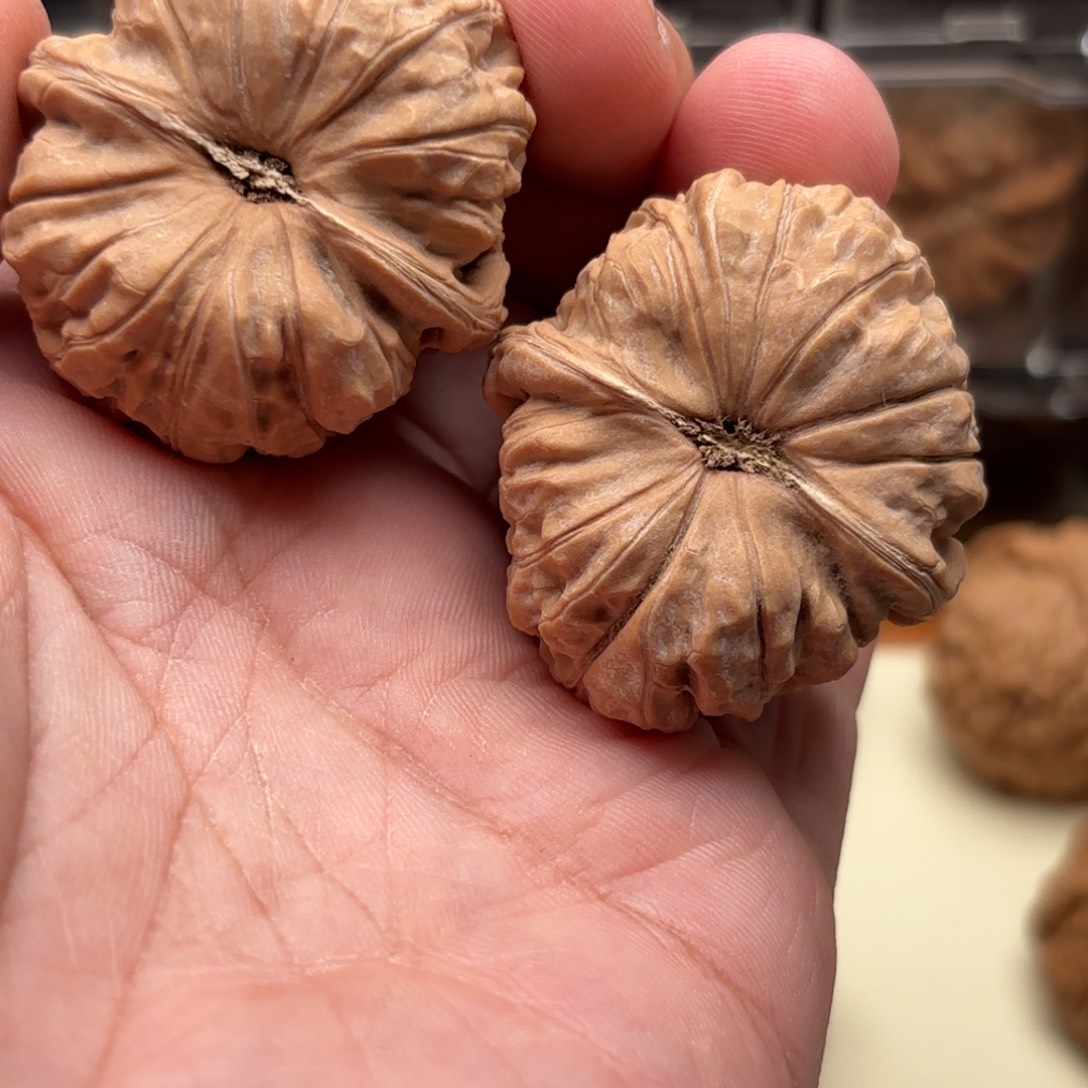 等***仰把件文玩核桃南瓜墩