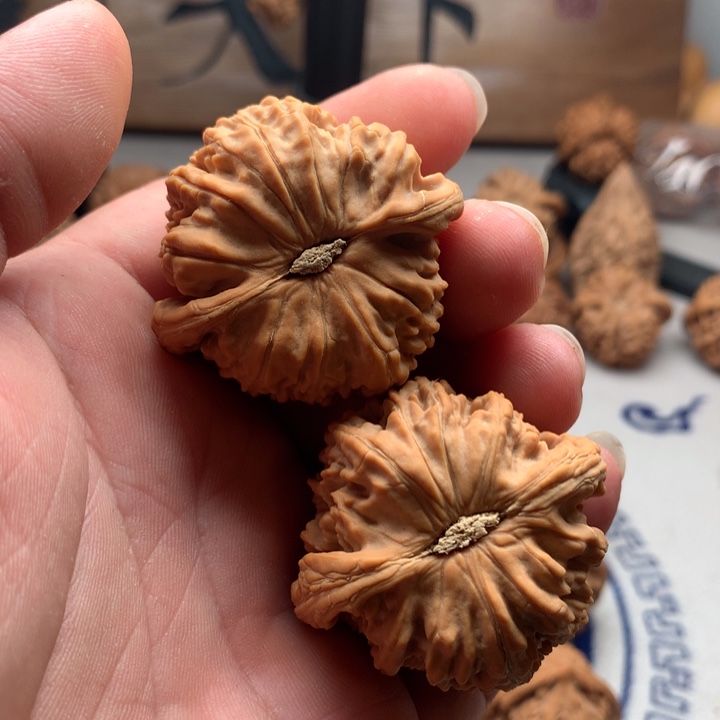 炎***炎吊坠桃核山地果白狮子