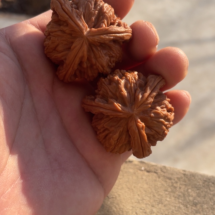 文玩核桃吊坠三棱三棱三棱三棱