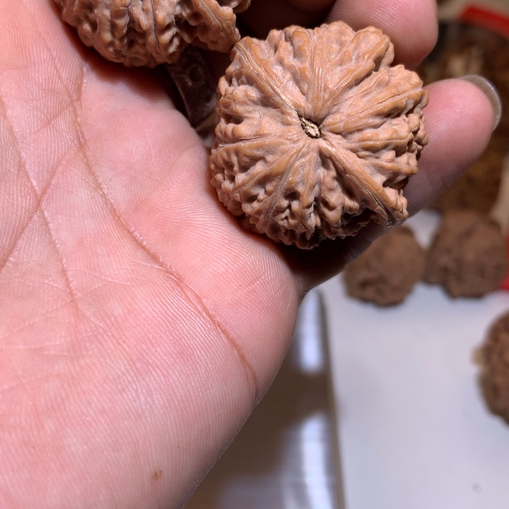 桃核把件凡*野生小众差尺处理