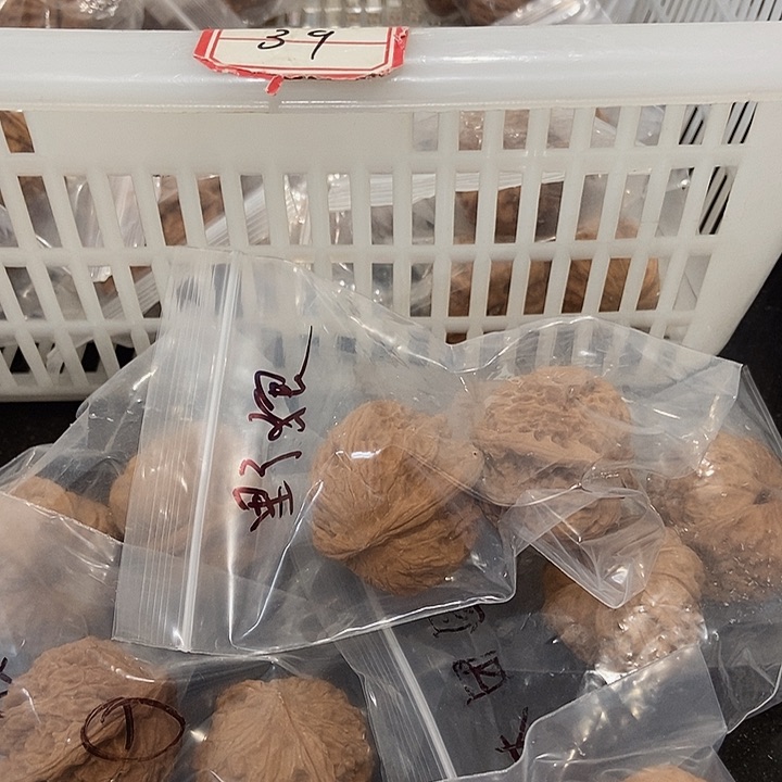 吊坠文玩核桃一单6对瑕疵333