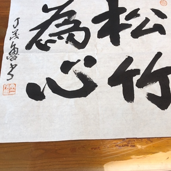 书法丁茂鲁1平尺作品